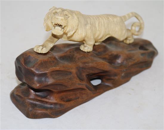 A Japanese ivory figure of a prowling tiger, Meiji period, length 26cm incl. carved wood stand